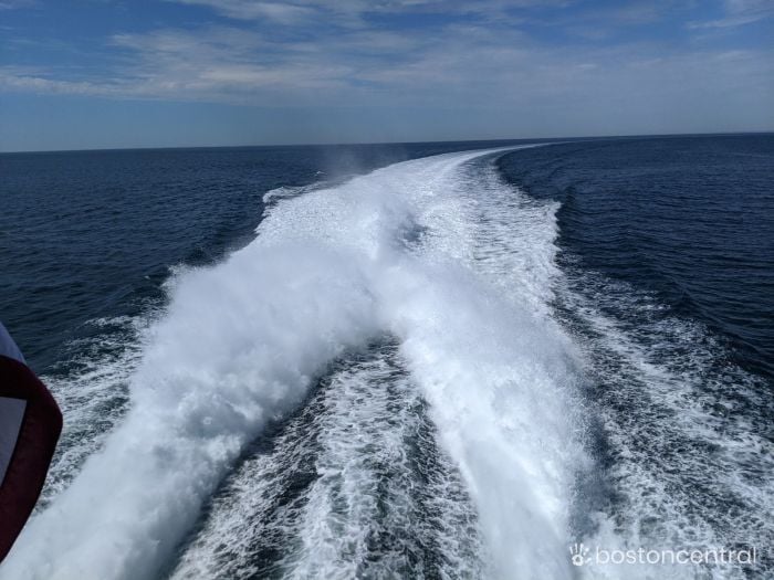 provincetown-fast-ferry-boston